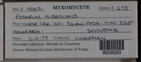 Image Associated With the Occurence